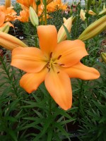 [5088 Eremo No01.JPG]